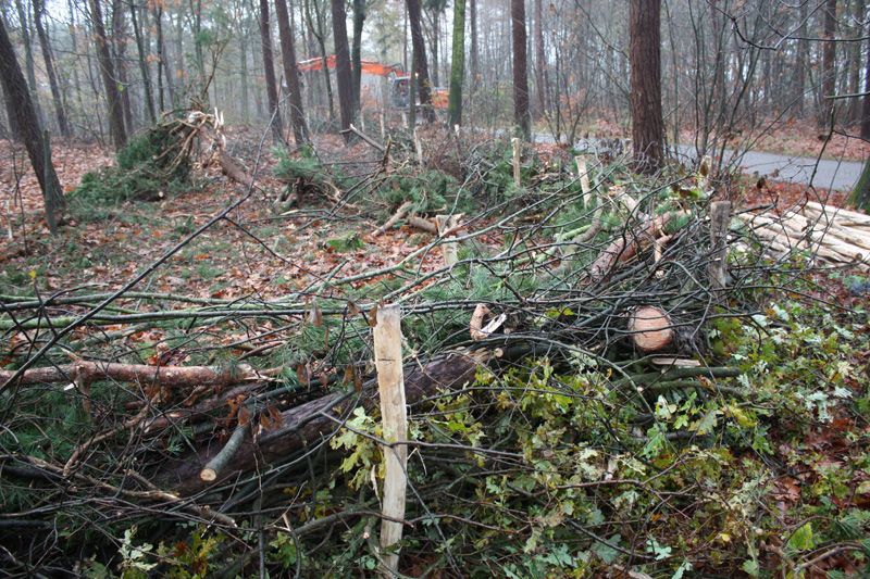 Fase 1: bouwklaar maken — foto 11