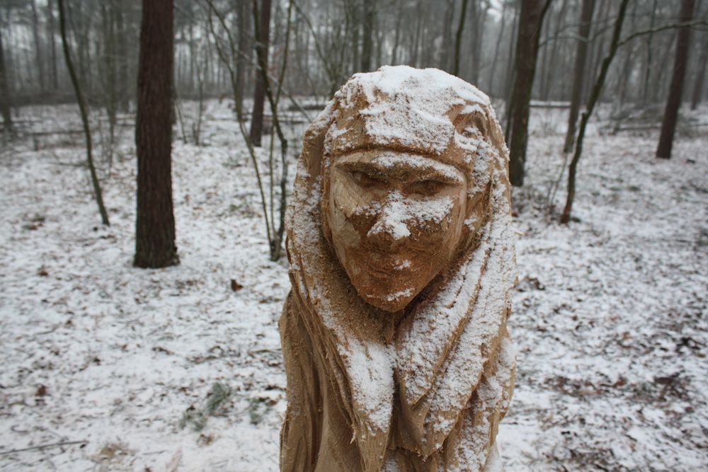 Fase 2: inrichten — foto 10