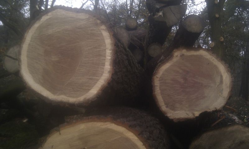 Fase 1: bouwklaar maken — foto 9