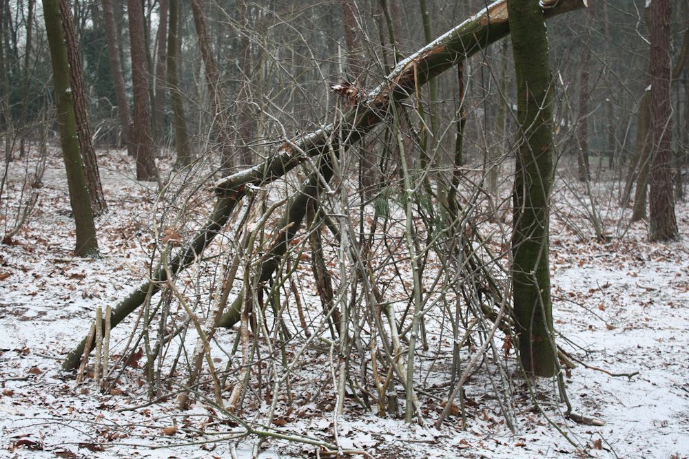 Fase 2: inrichten — foto 3