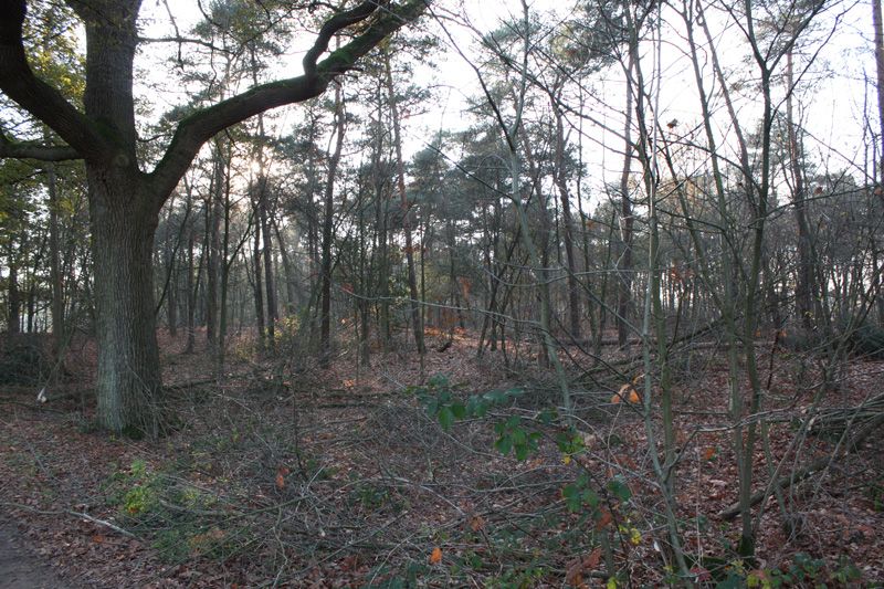 Fase 1: bouwklaar maken — foto 5