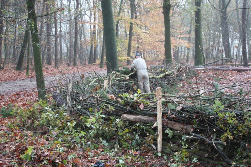 Fase 1: bouwklaar maken — foto 12