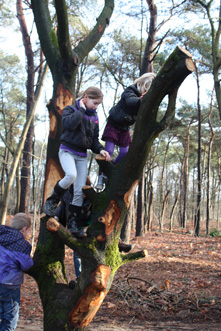Kinderen in het speelbos